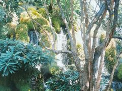 -Chom Cafe and Restaurant