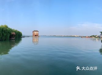 水平有限，没拍出来它的没