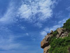 -广东惠东海龟国家级自然保护区