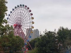 -南湖梦幻岛