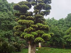 -韶山毛泽东同志故居