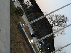 -九里湖国家湿地公园