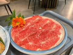 -喜聚薈·花膠雞海鮮火鍋(越秀店)