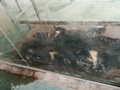 -泉州海丝野生动物世界