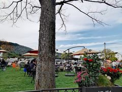 -树山生态村