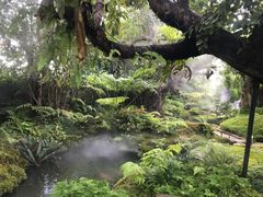 -Chom Cafe and Restaurant