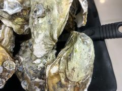 -郑记•不夜城烧烤•龙虾•虾蟹(黄鹤楼店)