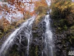 -望天鹅景区