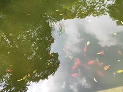 -南山植物园