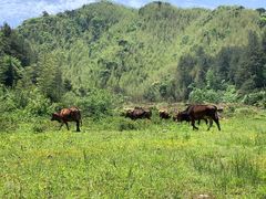 -永州阳明山国家森林公园