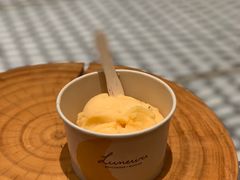 雪葩杏子百里香叶-Luneurs(幸福里店)