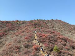 -水峪民俗村