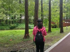 -黄海国家森林公园