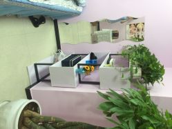 点击看大图 严雪梅韩国3d专业美睫生活馆-Yolee雅妮容颜定制美睫·美甲