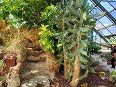 -亿利库布其七星湖沙漠生态旅游区