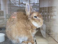 -大悦城(沈阳中街店)