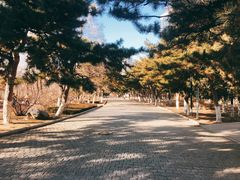 景点-沈阳中山公园