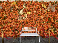 -青果巷历史文化街区