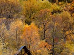 -叠溪松坪沟景区