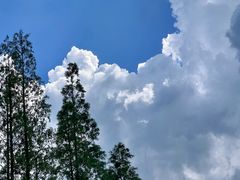 -宜兴龙背山森林公园