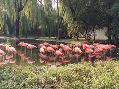 -石家庄市动物园