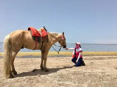 -青海湖国家重点风景名胜区