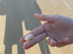 -霞涌市场海鲜摆卖区