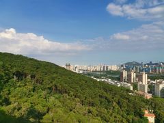 -狐尾山公园