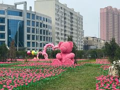 -大连老虎滩海洋公园