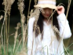 -白鹭湾湿地公园