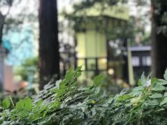 -三鹰之森吉卜力美术馆