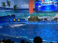 -多彩贵州城极地海洋世界