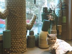 -Punchline Coffee&Roaster(同济大学店)