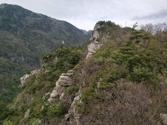 -牛背梁国家森林公园