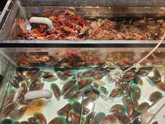 -海吃海喝海鲜烤肉炭火主题自助餐(朝阳店)