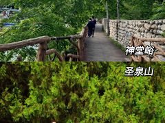 -桔子文创·企业团建·活动策划·拓展会议