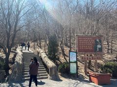-金龙寺国家森林公园