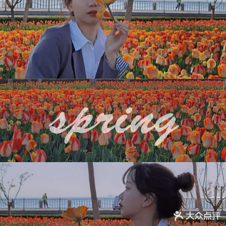 烟台郁金香🌷:和阿姨们抢夺最美拍照机位