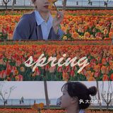烟台郁金香🌷：和阿姨们抢夺最美拍照机位