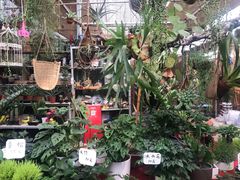 -秦美花卉(天朗·莱茵小城2期店)