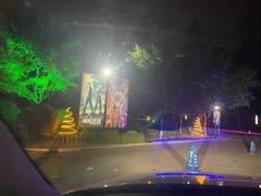 -枫花园汽车电影院(朝阳公园店)