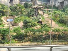 -石排湾郊野公园