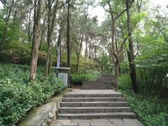 -云龙山