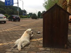 -朕悦鹧鸪饭私房菜