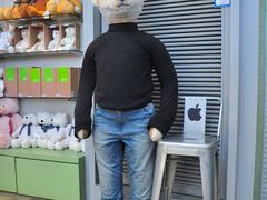 -济州岛泰迪熊博物馆