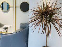 -Fridi Patisserie Cafe