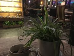 -Maan coffee漫咖啡(1905店)