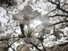 -南京林业大学-图书馆