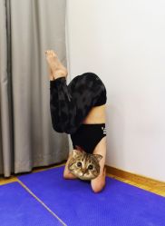 -亚太瑜伽普拉提学院