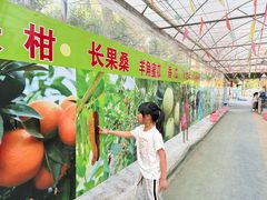 -新塘水果乐园(东洲大道店)